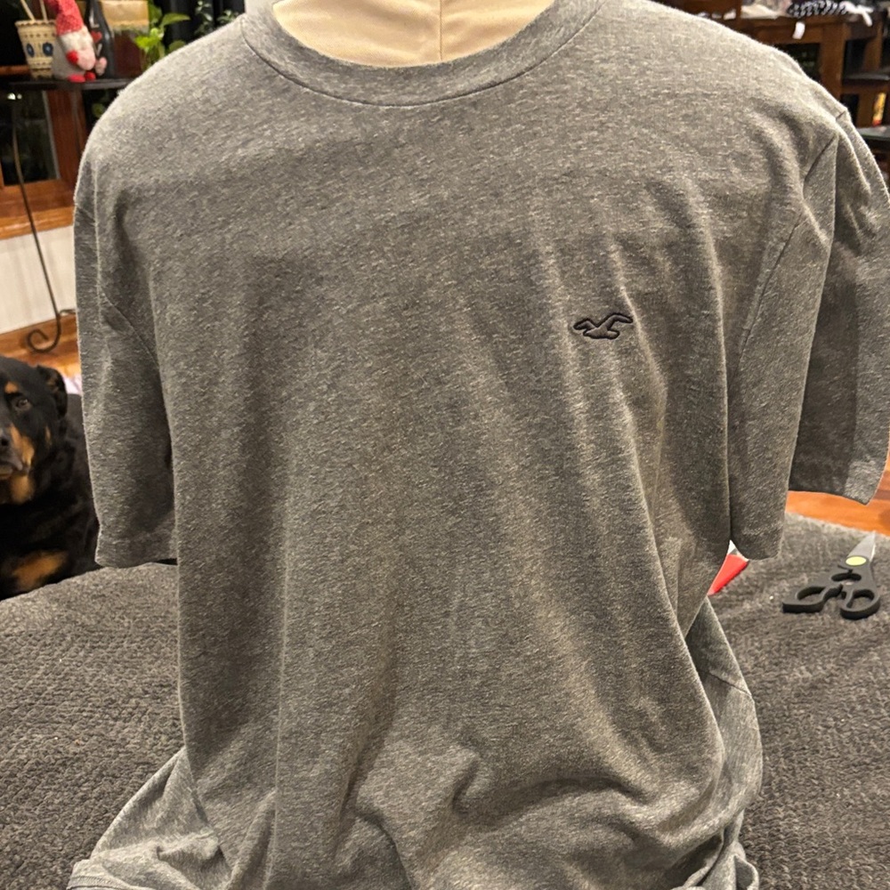 Hollister Heather Gray Men's Tee